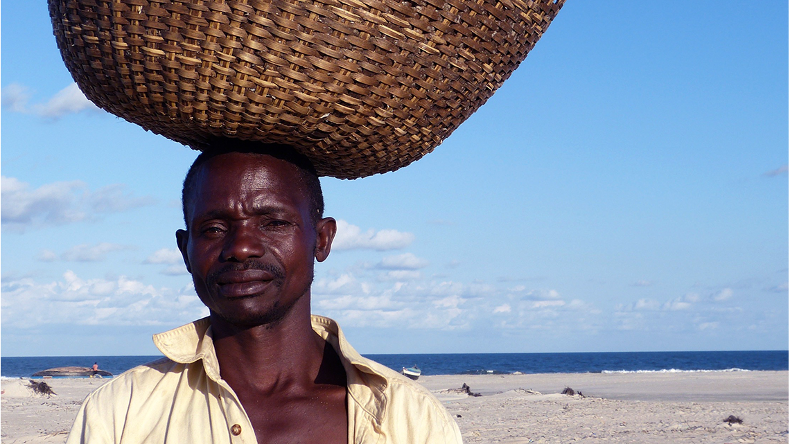 Read more about the article Criação do Fundo de Desenvolvimento da Economia Azul