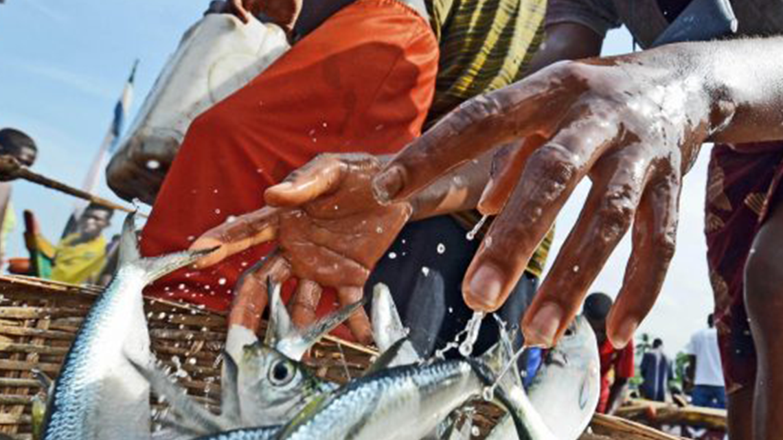 Read more about the article Impulsionando a Pesca em Moçambique