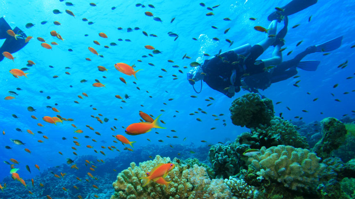 Read more about the article Apoiando o turismo azul em Vilankulo.