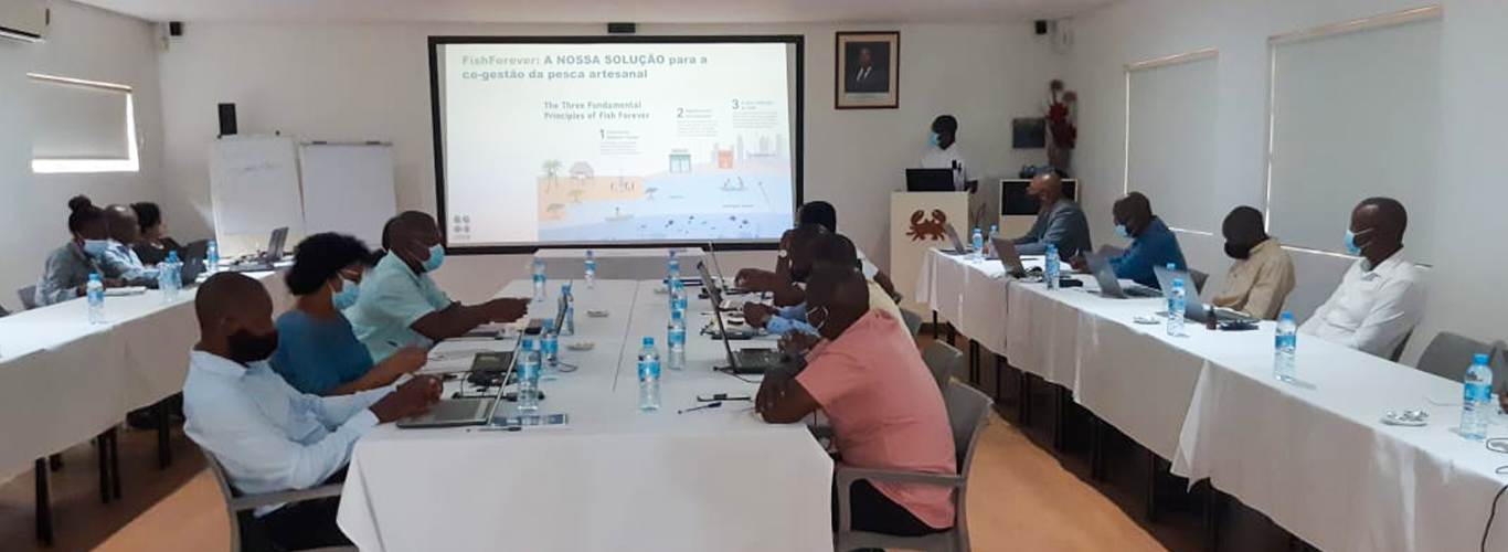 Read more about the article SwioFish MZ realiza 2º reunião do grupo de trabalho de gestão participativa.