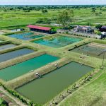 𝐍𝐢𝐜𝐨𝐚𝐝𝐚𝐥𝐚 𝐚𝐜𝐨𝐥𝐡𝐞 𝐚 𝐈 𝐬𝐞𝐬𝐬ã𝐨 𝐝𝐨 𝐂𝐨𝐧𝐬𝐞𝐥𝐡𝐨 𝐝𝐞 𝐄𝐜𝐨𝐧𝐨𝐦𝐢𝐚 𝐀𝐳𝐮𝐥 𝐜𝐨𝐦 𝐟𝐨𝐜𝐨 𝐧𝐚 𝐚𝐪𝐮𝐚𝐜𝐮𝐥𝐭𝐮𝐫𝐚, 𝐦𝐞𝐫𝐜𝐚𝐝𝐨𝐬 𝐞 𝐢𝐧𝐯𝐞𝐬𝐭𝐢𝐦𝐞𝐧𝐭𝐨𝐬.