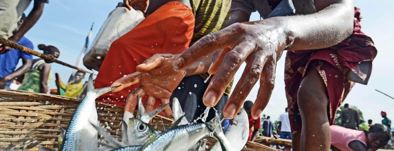 basket-artisanal-fishers