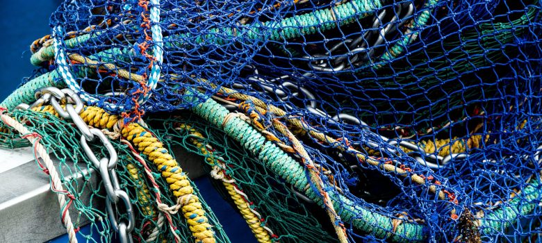 david-clode-wygfGUqOmqs-unsplash