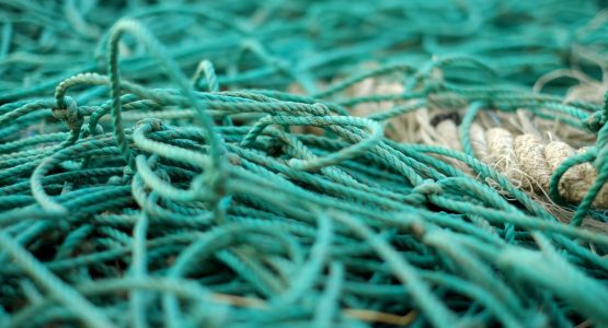 eric-barbeau-aveIX3ZBiyA-unsplash