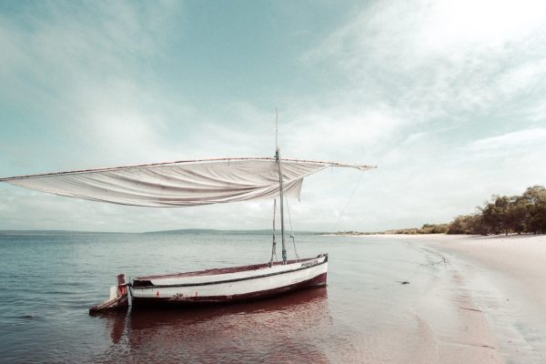 redcharlie-Ah6RoBdOj6c-unsplash