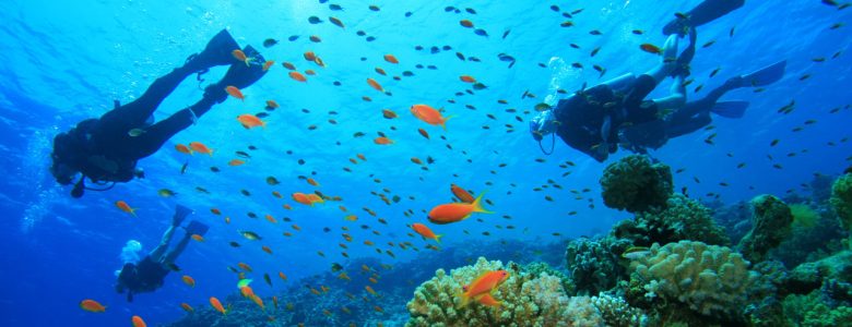 scuba-diving-sol-resorts-vilankulo